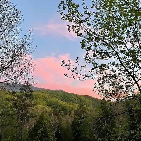 Smokies Boutique Cabins: Mountain Retreat with Resort Amenities Gatlinburg Exterior photo