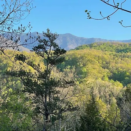 Smokies Boutique Cabins: Mountain Retreat with Resort Amenities Gatlinburg Exterior photo