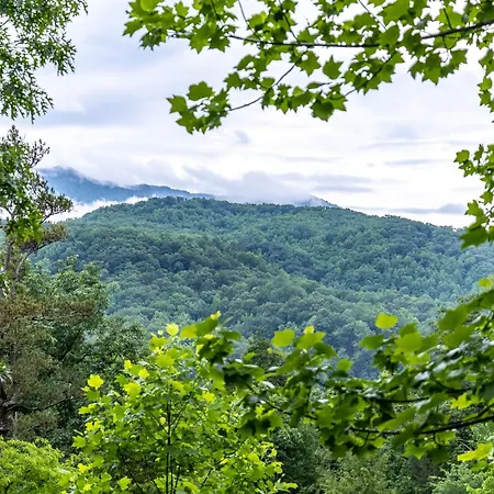 Smokies Boutique Cabins: Mountain Retreat with Resort Amenities Gatlinburg Exterior photo