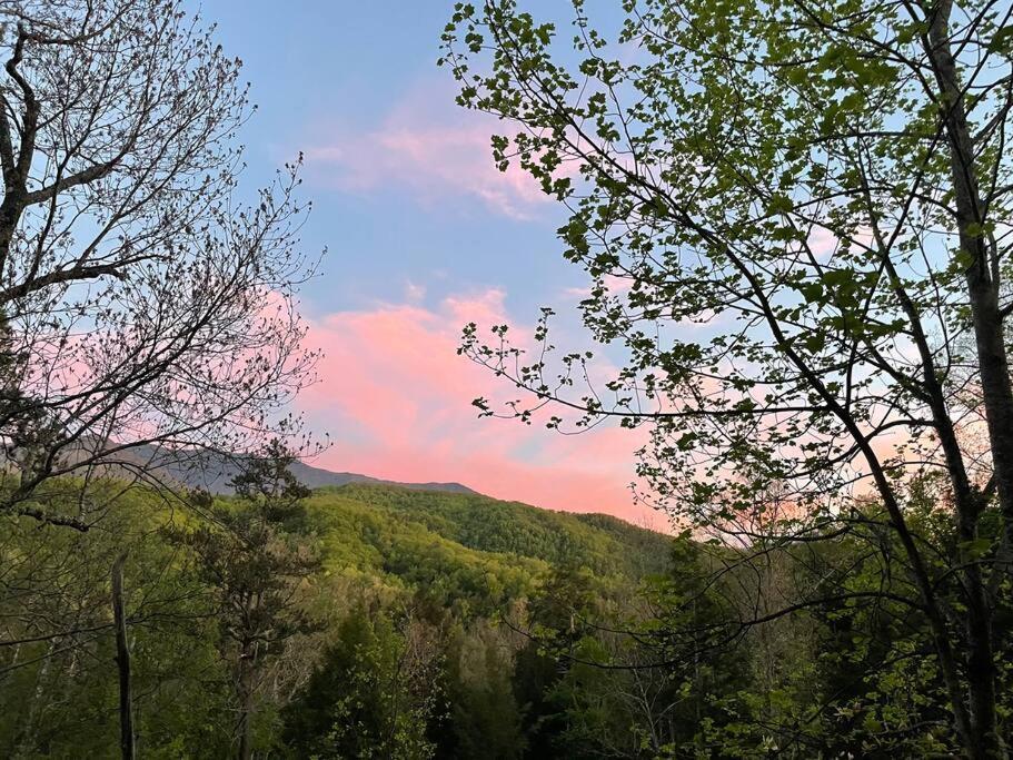 Casa vacanze Smokiesboutiquecabins Would To Host You! 4 Miles To Strip! Pool Open 1 Through Oct 1! Views, Shuffleboard, Hot Tub, Arcade! *