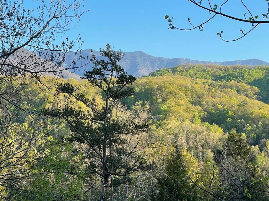 Casa vacanze Smokiesboutiquecabins Would To Host You! 4 Miles To Strip! Pool Open 1 Through Oct 1! Views, Shuffleboard, Hot Tub, Arcade!