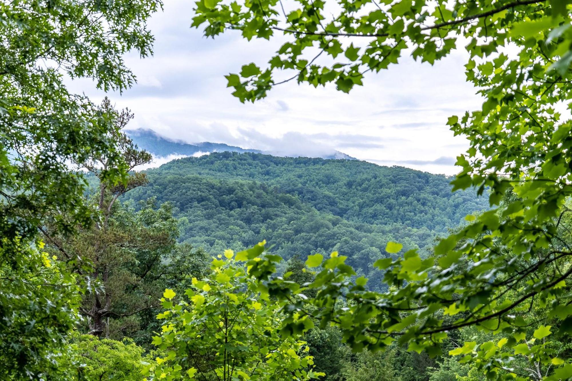 Casa vacanze Smokiesboutiquecabins Would To Host You! 4 Miles To Strip! Pool Open 1 Through Oct 1! Views, Shuffleboard, Hot Tub, Arcade! *